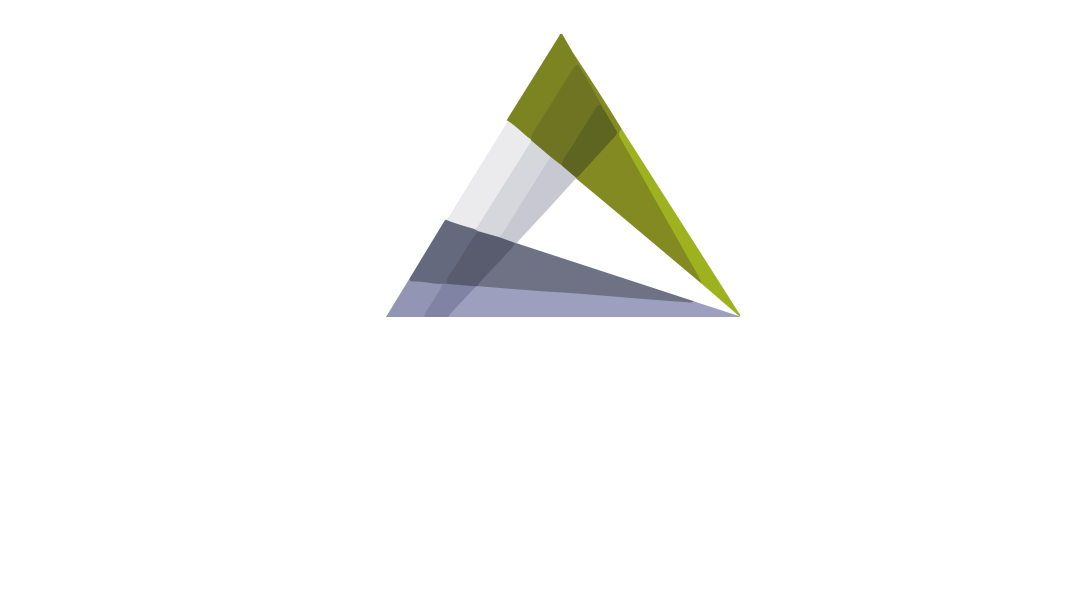 AMERSUR SAC